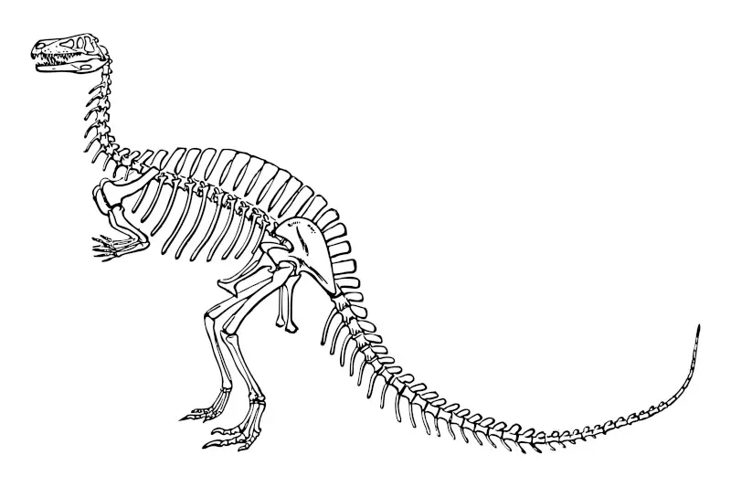Line Drawing of Standing Dinosaur